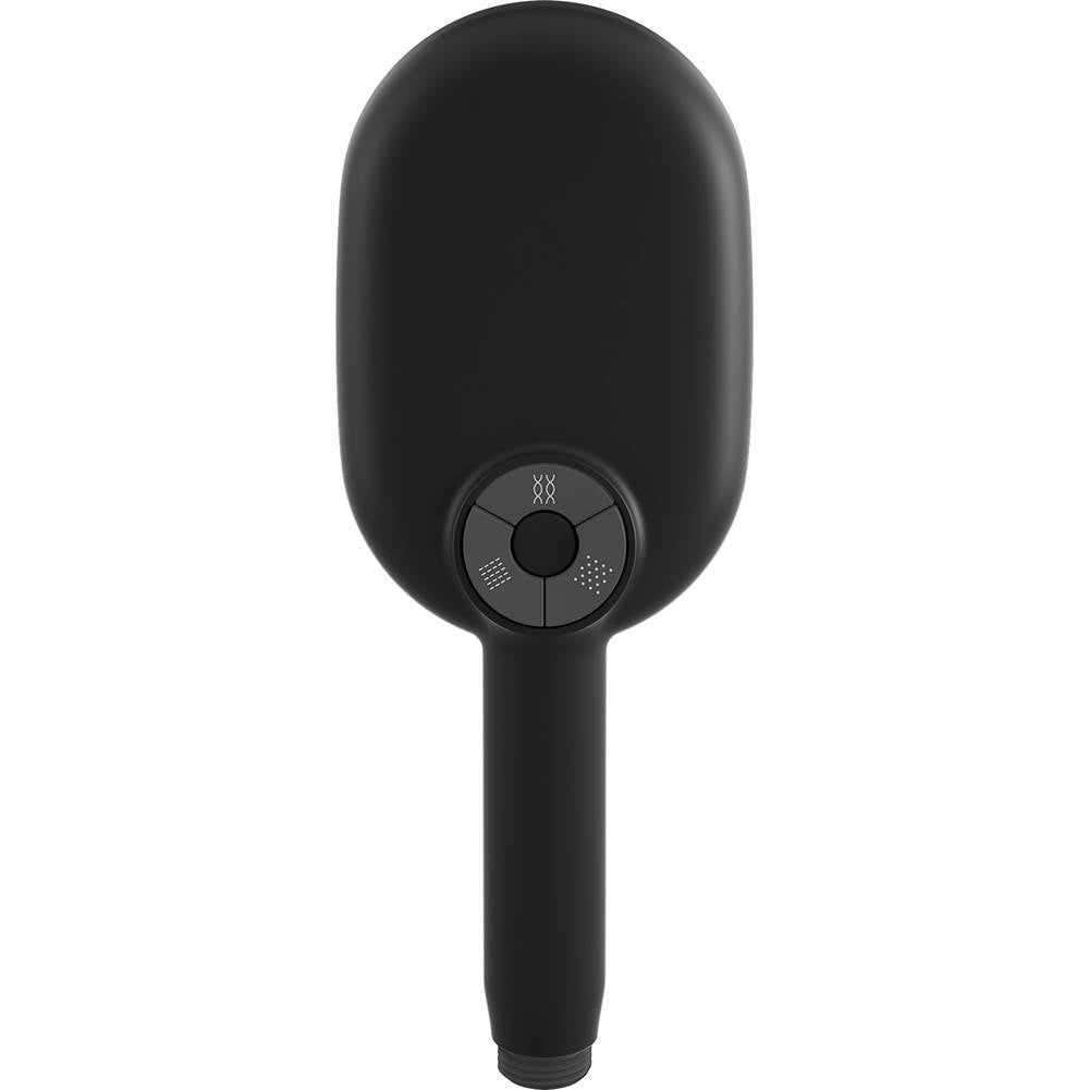 Statement Oblong three-function handshower, 2.5 gpm