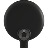 Statement Round three-function handshower, 2.5 gpm