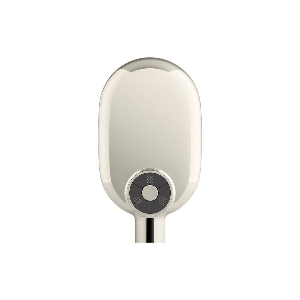 Statement Oblong three-function handshower, 2.5 gpm