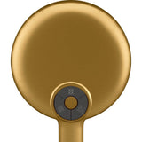 Statement Round three-function handshower, 1.75 gpm