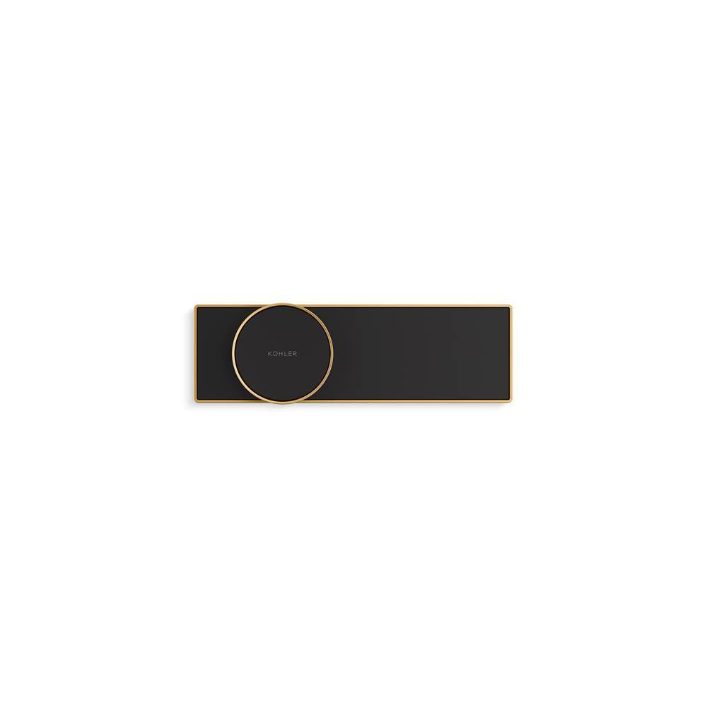 Anthem+E Digital control