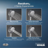 Awaken B110 42'' premium four-function handshower kit, 2.5 gpm