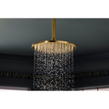 Occasion 8'' single-function rainhead, 2.5 gpm