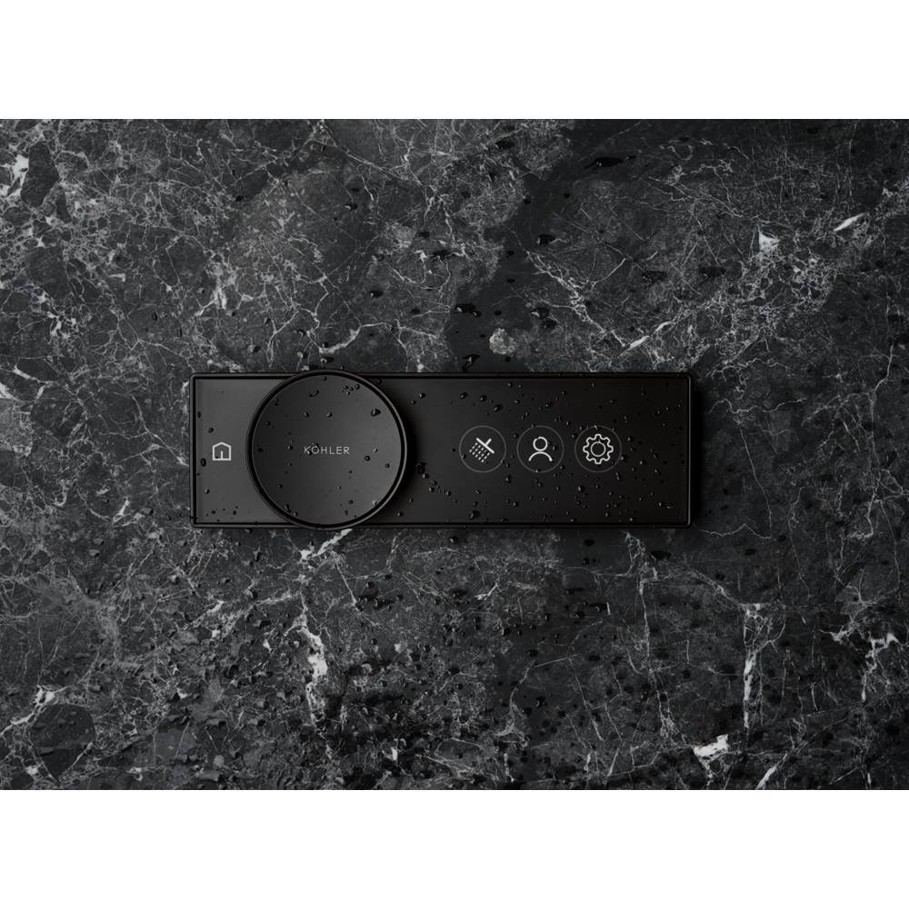 Anthem Digital control