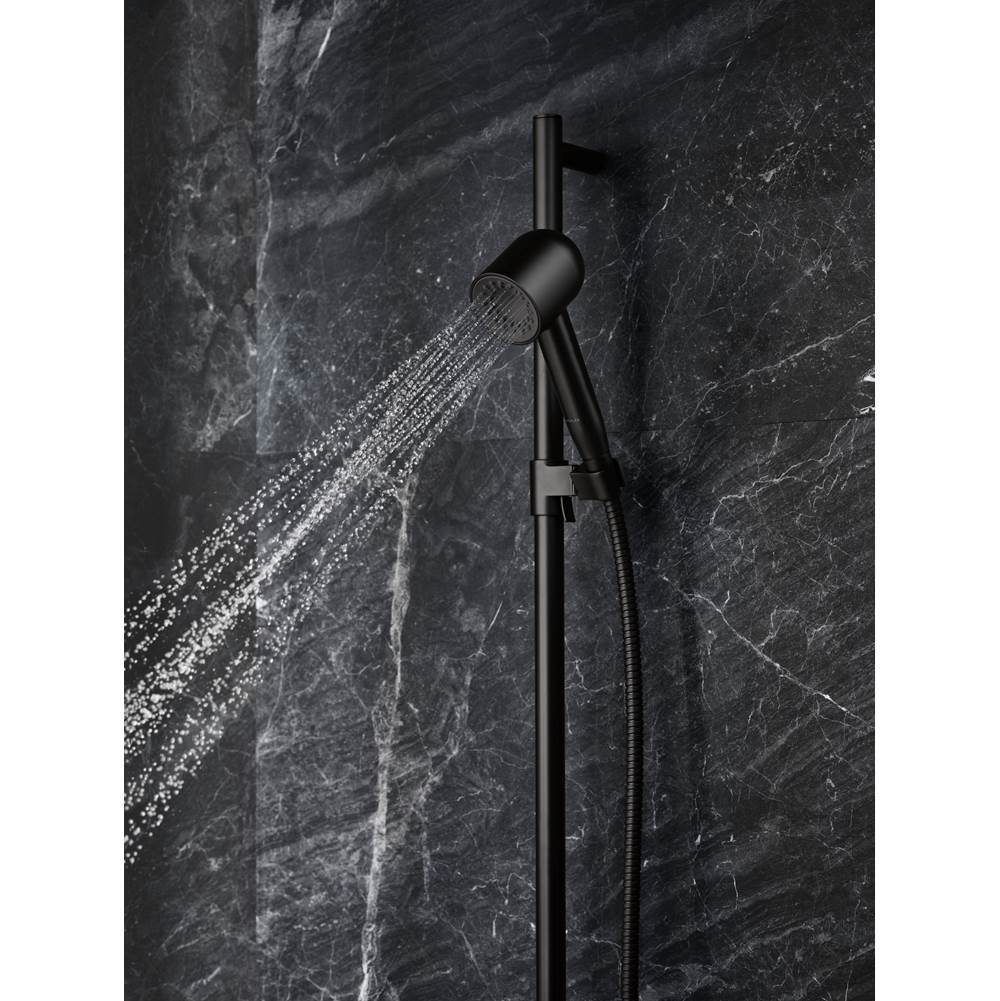 Statement Iconic single-function handshower, 1.75 gpm