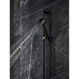 Statement Iconic single-function handshower, 1.75 gpm