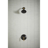 ToneE Rite-Temp shower trim kit, 2.5 gpm