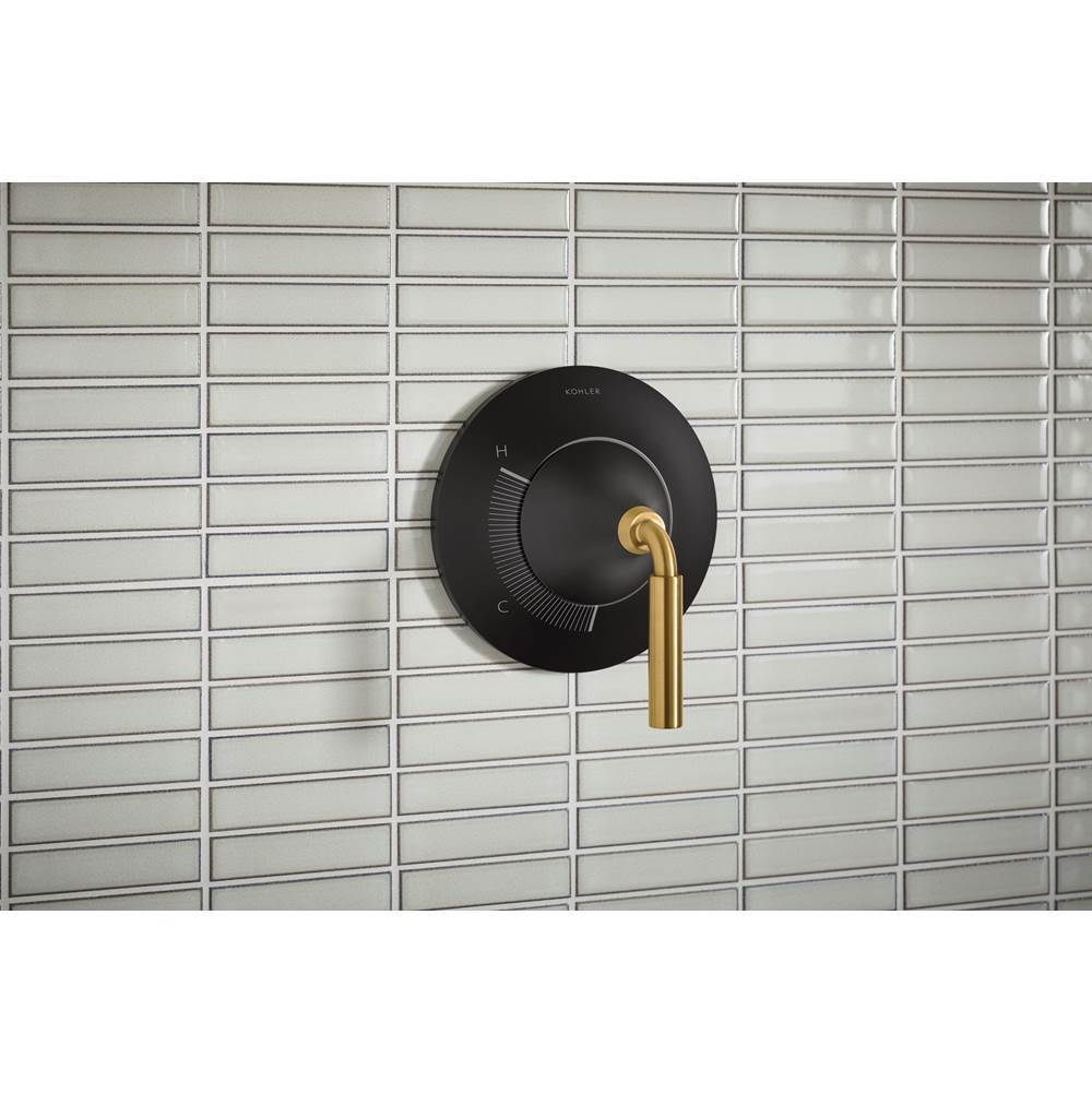 ToneE Rite-Temp shower trim kit, 2.5 gpm