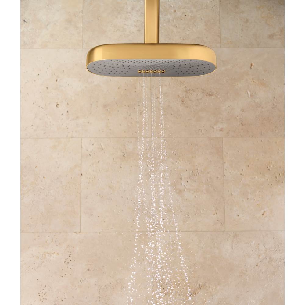 Statement Oblong 14'' two-function rainhead, 1.75 gpm