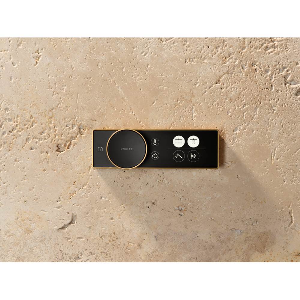 Anthem Digital control