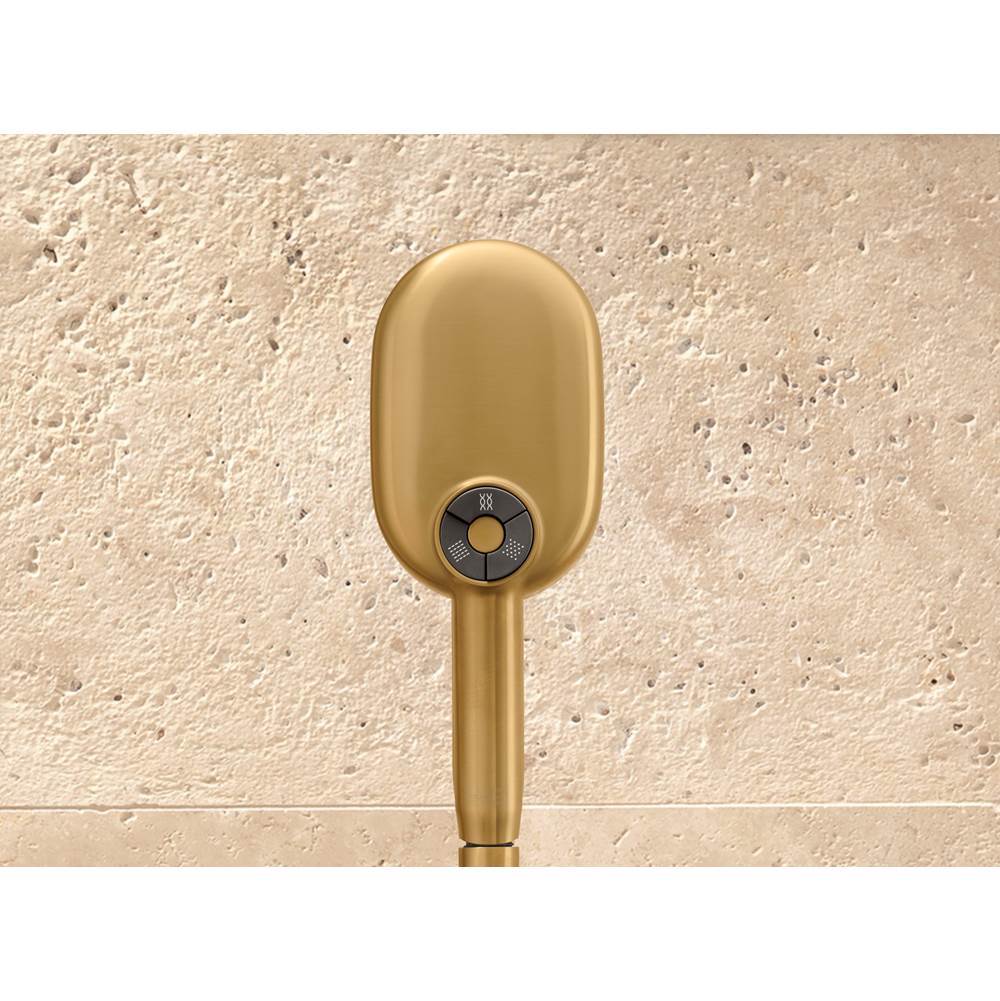 Statement Oblong three-function handshower, 2.5 gpm