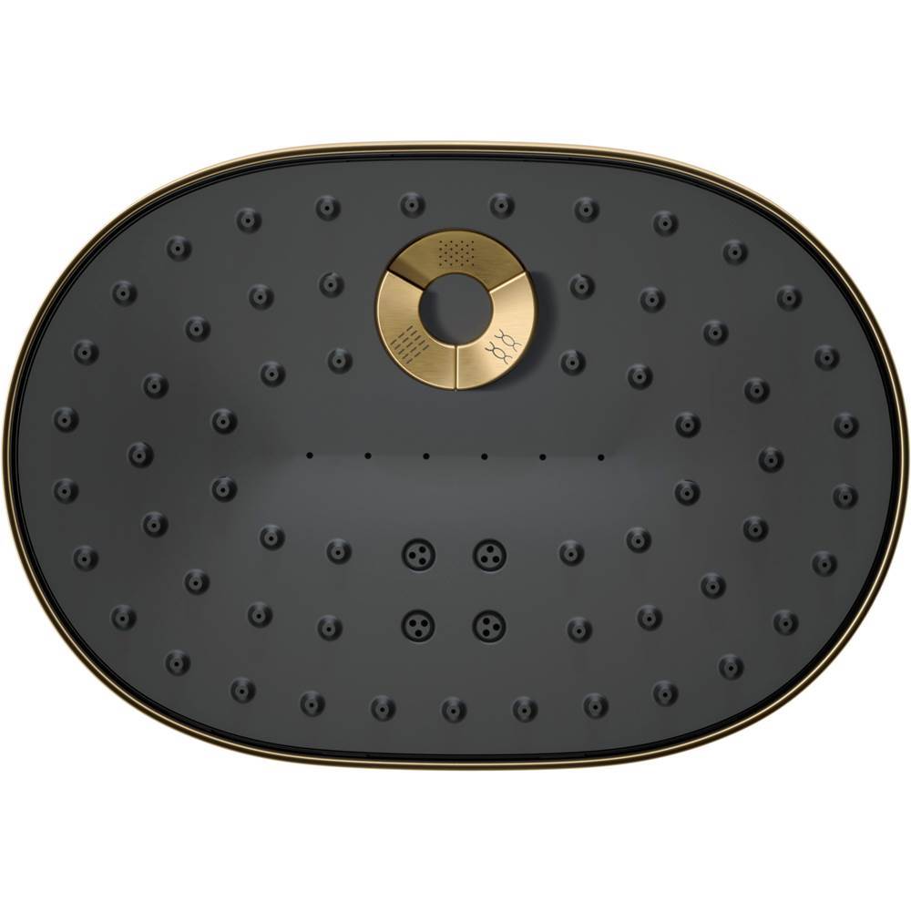 Statement Three-function showerhead, 2.5 gpm