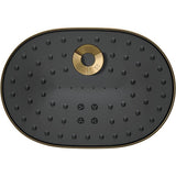 Statement Three-function showerhead, 2.5 gpm