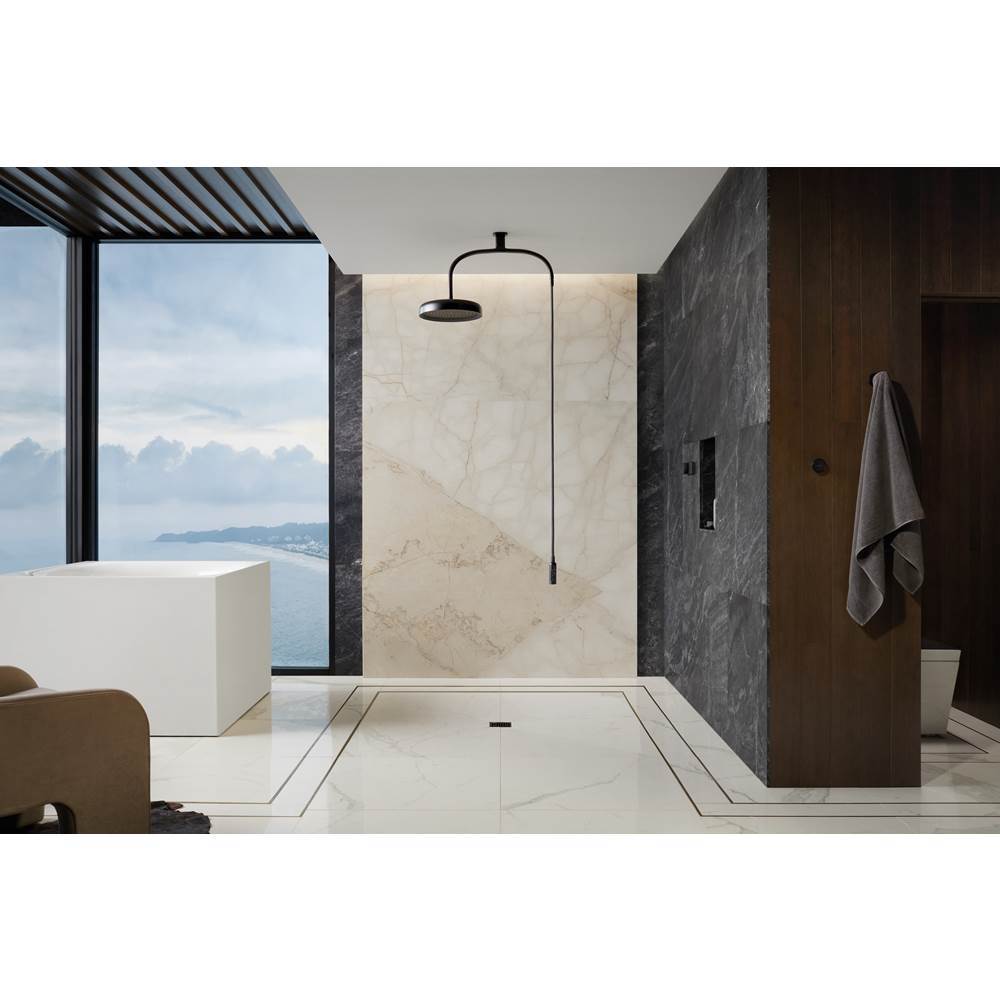 Statement Iconic wand two-function handshower, 2.5 gpm