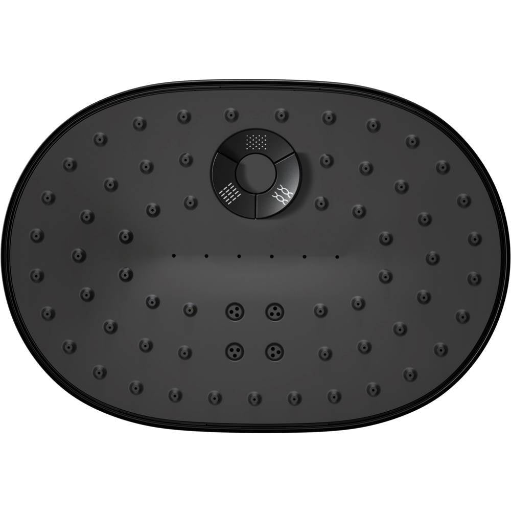 Statement Three-function showerhead, 2.5 gpm