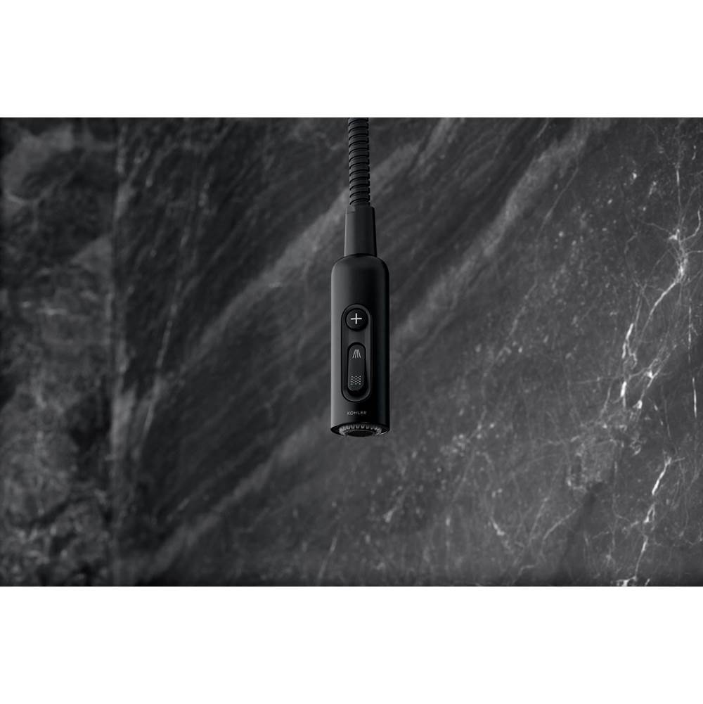 Statement Iconic wand two-function handshower, 2.5 gpm