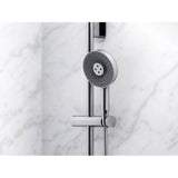 Statement Round three-function handshower, 2.5 gpm