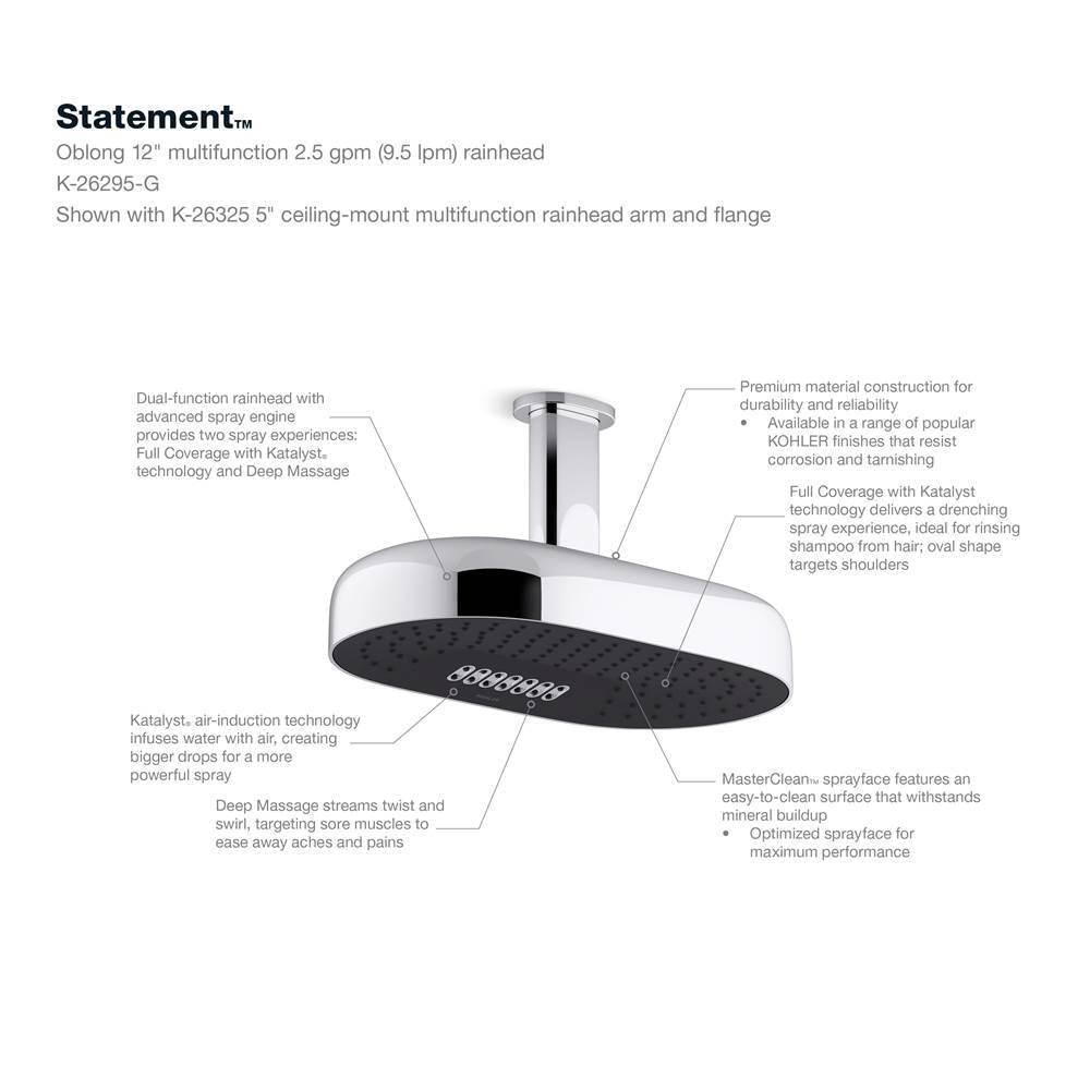 Statement Oblong 14'' two-function rainhead, 2.5 gpm