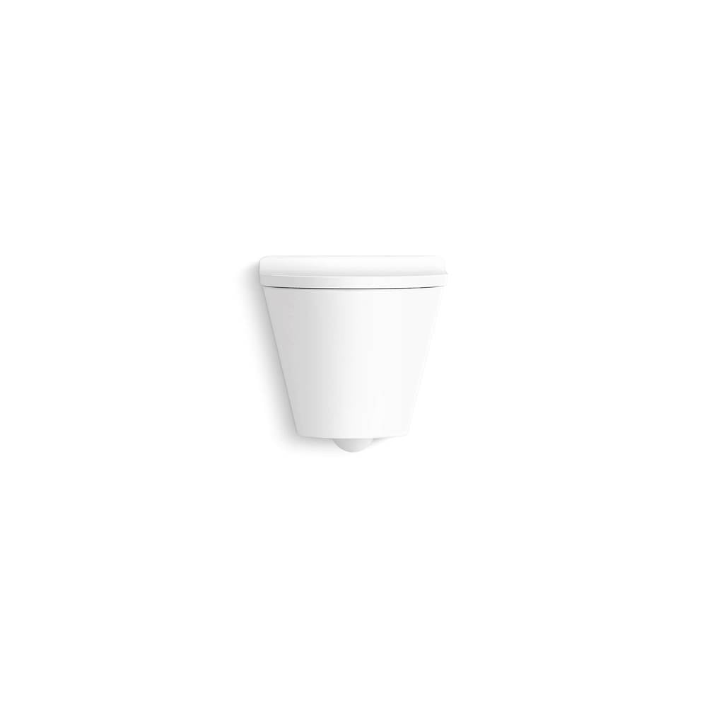 Brazn Wall-hung round-front toilet, dual-flush