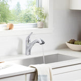 Jolt Pull-out kitchen sink faucet with two-function sprayhead