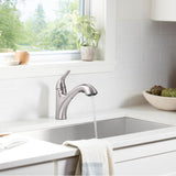 Jolt Pull-out kitchen sink faucet with two-function sprayhead