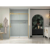 Rely 77'' H sliding shower door with 3/8''-thick glass