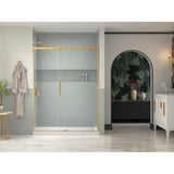 Rely 77'' H sliding shower door with 3/8''-thick glass