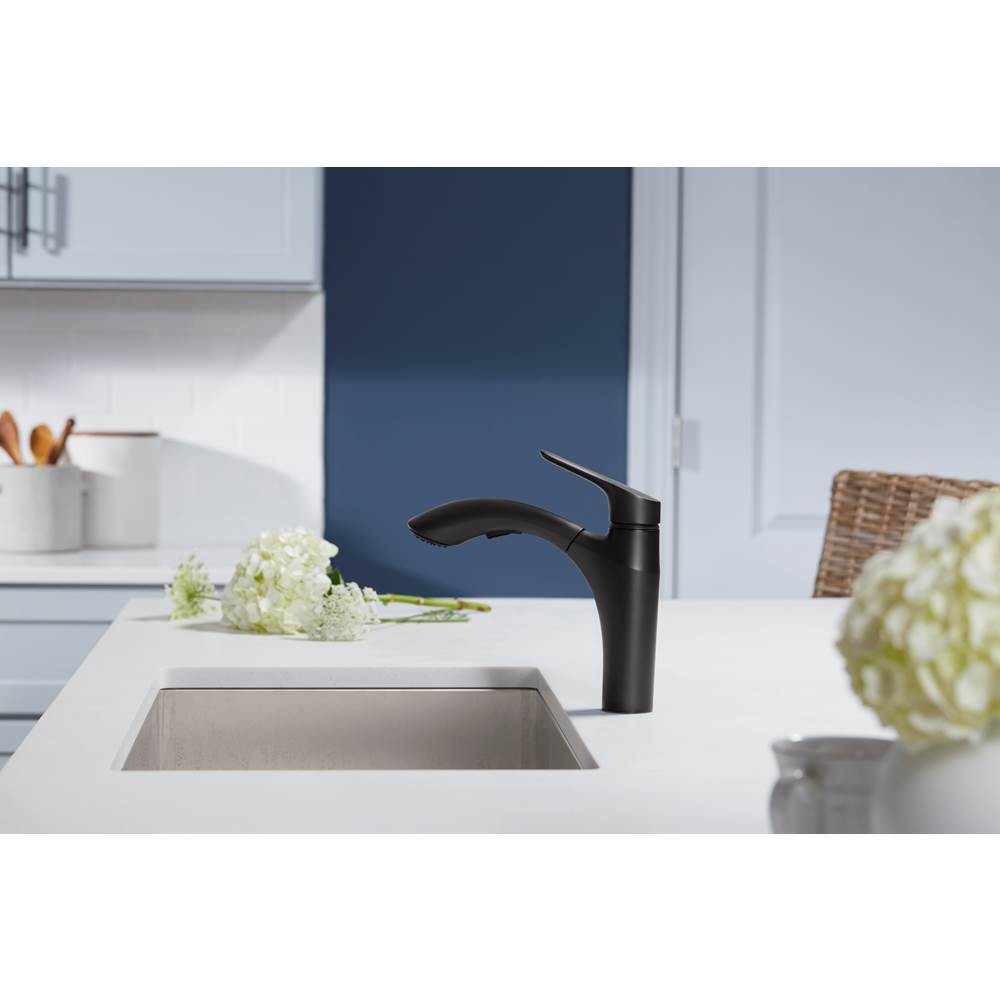Rival Pull-out kitchen sink faucet with two-function sprayhead