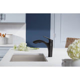 Rival Pull-out kitchen sink faucet with two-function sprayhead