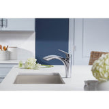 Rival Pull-out kitchen sink faucet with two-function sprayhead