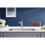 Rival Pull-out kitchen sink faucet with two-function sprayhead