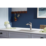 Rival Pull-out kitchen sink faucet with two-function sprayhead
