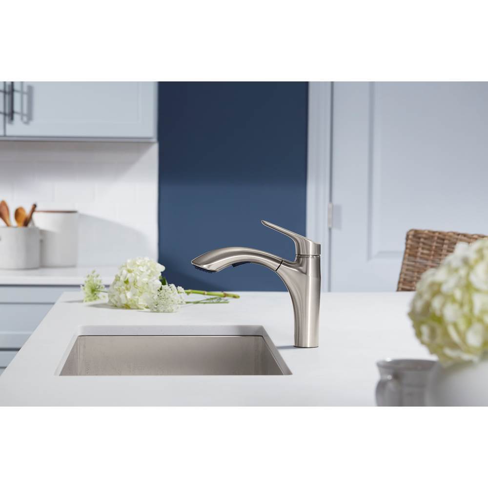 Rival Pull-out kitchen sink faucet with two-function sprayhead
