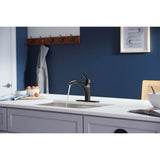 Rival Single-handle kitchen sink faucet