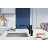Rival Single-handle kitchen sink faucet with side sprayer