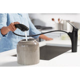 Rival Pull-out kitchen sink faucet with two-function sprayhead
