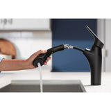 Rival Pull-out kitchen sink faucet with two-function sprayhead