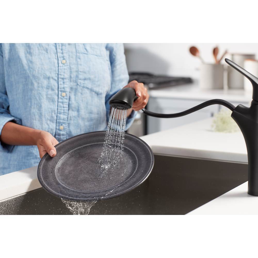 Rival Pull-out kitchen sink faucet with two-function sprayhead