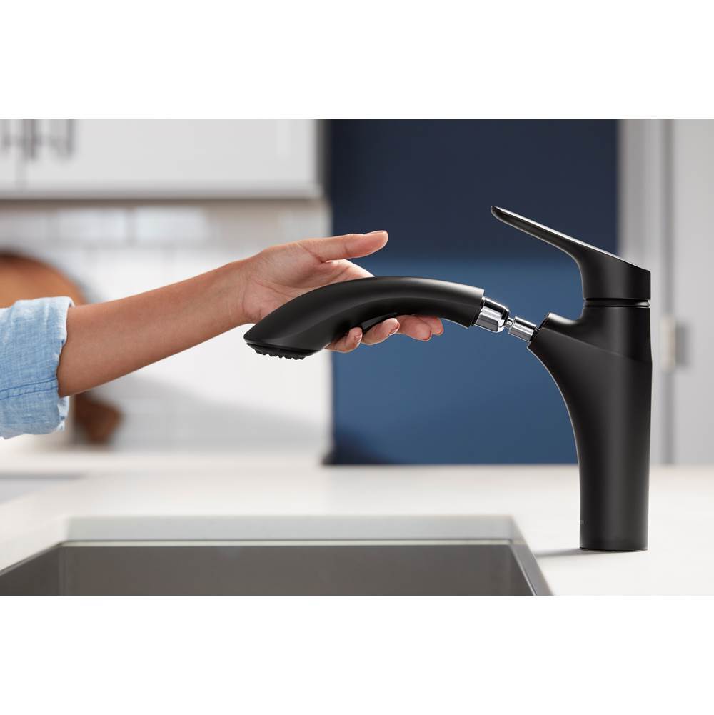 Rival Pull-out kitchen sink faucet with two-function sprayhead