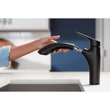 Rival Pull-out kitchen sink faucet with two-function sprayhead