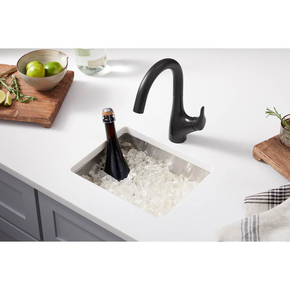 Rival Single-handle bar sink faucet