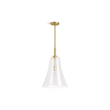 SimpliceE 14'' pendant