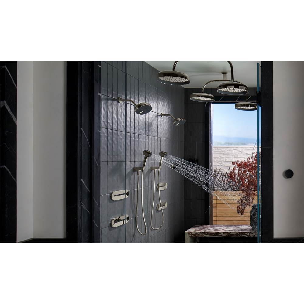 Statement Ceiling-mount single-function dual rainhead arm