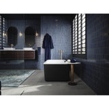 VoluteE 63'' x 28-3/8'' freestanding bath with shroud