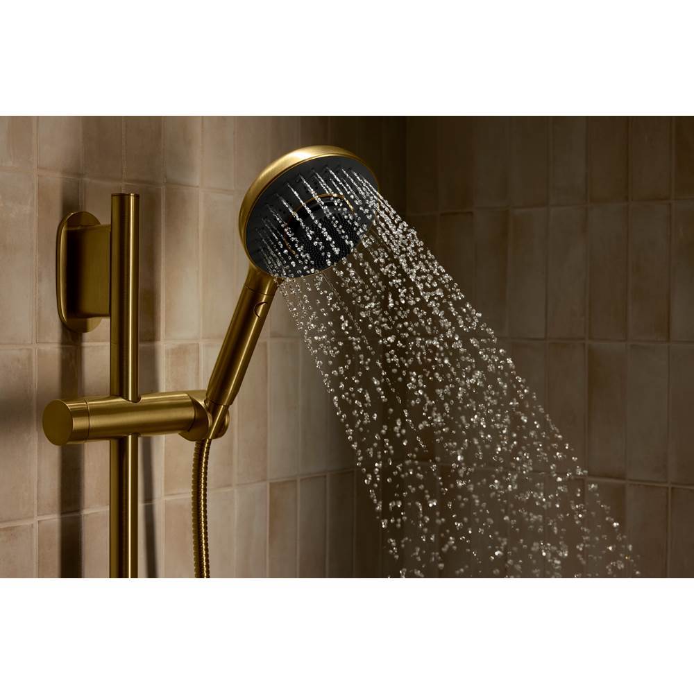 SpaVivaE Two-function handshower with all-in-one cleansing device, 2.5 gpm