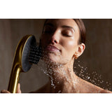 SpaVivaE Two-function handshower with all-in-one cleansing device, 1.75 gpm