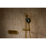 SpaVivaE Two-function handshower, 1.75 gpm