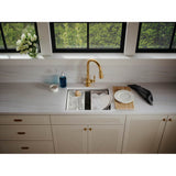 Strive 23'' undermount single-bowl workstation kitchen sink