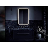 Essential Ultrabright 22 in. X 34 in. Rectangular Lighted Framed Mirror