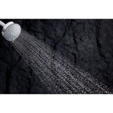 Awaken G110 Three-function showerhead, 2.5 gpm